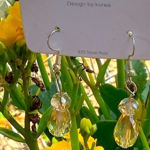 Crystal Clears Earrings (fake earrings)